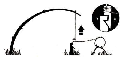 Сделайте на спусковом рычаге (а) засечку, подходящую к засечке на стойке (В). Загоните стойку в землю. Прикрепите петлю к спусковому рычагу и используйте шнур, чтоб присоединить к конструкции согнутое дерево.