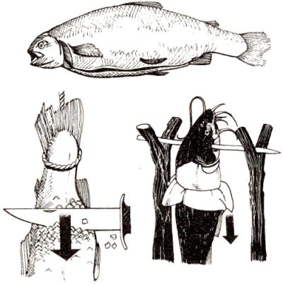 Обработка пойманной рыбы