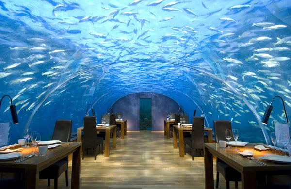 Подводный ресторан Ithaa Undersea restaurant на Мальдивах