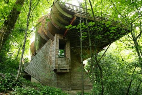 Резиденция Вилкинсона (Wilkinson Residence) 
