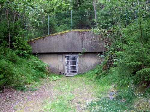 Шведский бункер Vargen