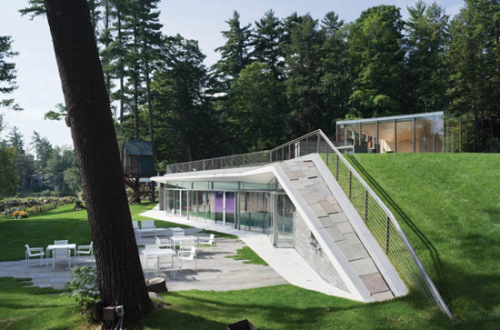 Дом с зеленой крышей от Partners Architects