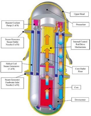 Japan Toshiba Green Nuclear Reactor