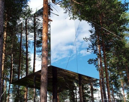 Отель на деревьях (Treehotel , Швеция)