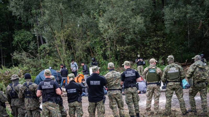 Десятки беженцев прорвались на территорию Польши через белорусскую границу