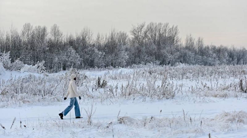 Морозы до 20 градусов обрушатся на регионы Урала с 15 ноября
