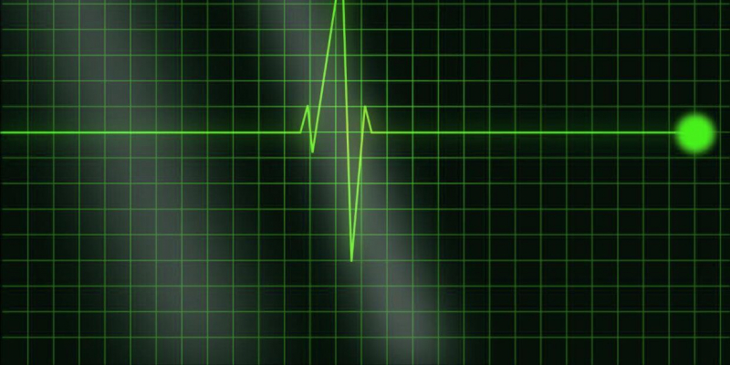 Частота сердцебиения влияет на продолжительность жизни?  После изучения двух миллионов записей был найден идеальный пульс