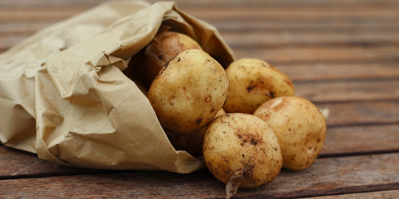 Чтобы картофель дольше оставался свежим, не храните его с другими овощами и никогда не мойте