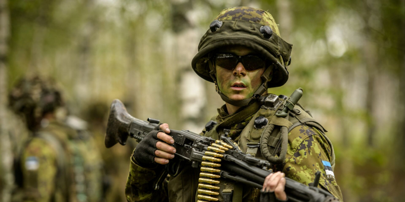 Postimees: на Украине ликвидирован экс-офицер Сил обороны Эстонии