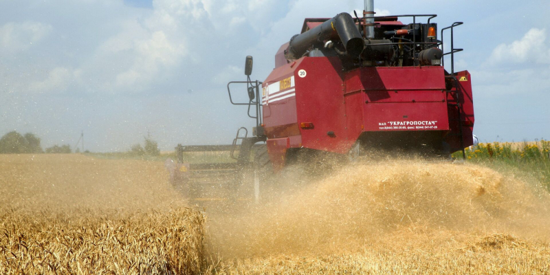 Gazeta: Польша ввела временный запрет на импорт украинского зерна и не только