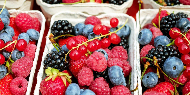 Эту ягоду едят космонавты в космосе... Делает память феноменальной, защищает от рака