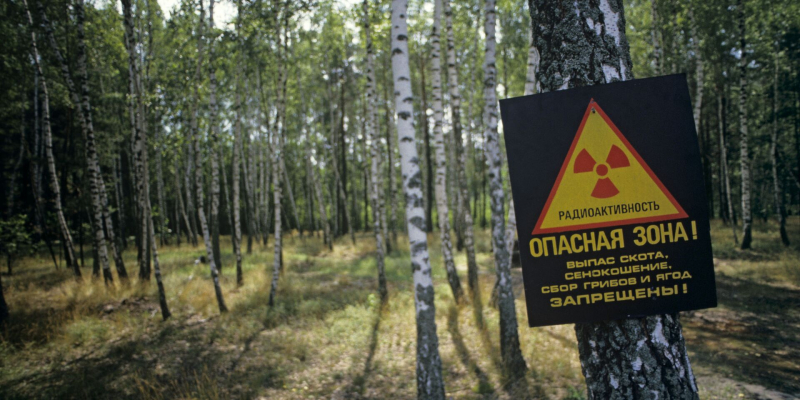 Forum24: по Словакии распространяется паника в связи с радиацией, исходящей с Украины