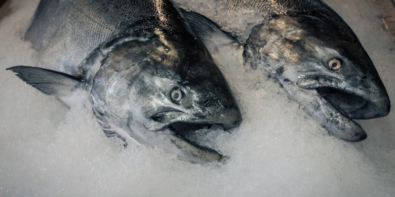 Из-за Путина замороженная рыба в Финляндии очень сильно подорожала — "Затраты на топливо съедают весь бизнес"