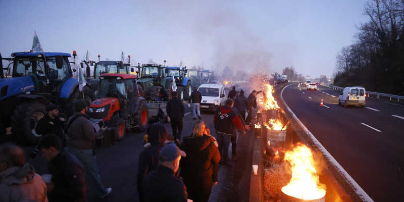 Bloomberg: фермеры в ЕС возмущены продлением свободной торговли с Украиной
