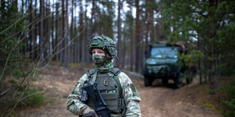 Interia: литовцы массово уклоняются от армейской службы