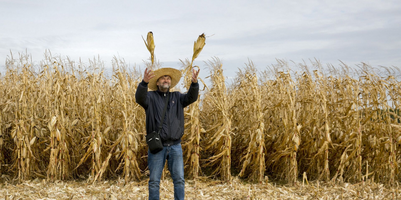 "Апостроф": украинские фермеры опасаются, что землю раскупят иностранцы